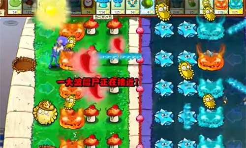 《PVZ杂交版》益智模式昼夜交替通关图文攻略7