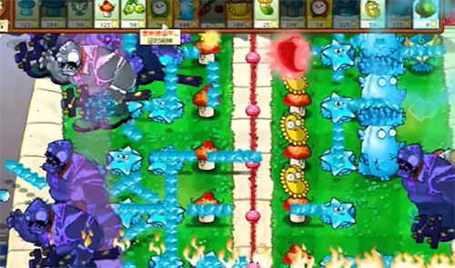 《PVZ杂交版》益智模式接着奏乐接着舞过关攻略7