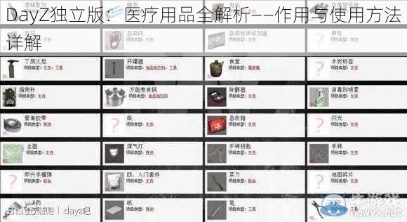 DayZ独立版：医疗用品全解析——作用与使用方法详解