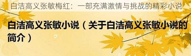 白洁高义张敏梅红：一部充满激情与挑战的精彩小说