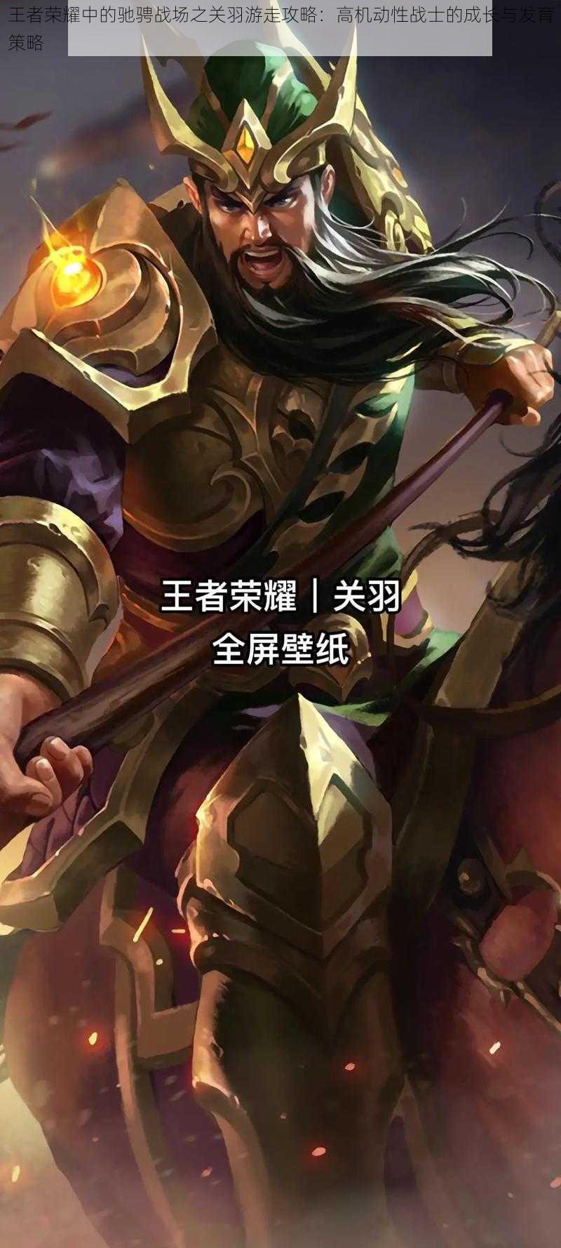 王者荣耀中的驰骋战场之关羽游走攻略：高机动性战士的成长与发育策略