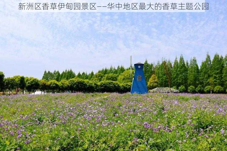 新洲区香草伊甸园景区——华中地区最大的香草主题公园