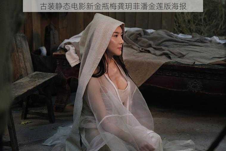 古装静态电影新金瓶梅龚玥菲潘金莲版海报
