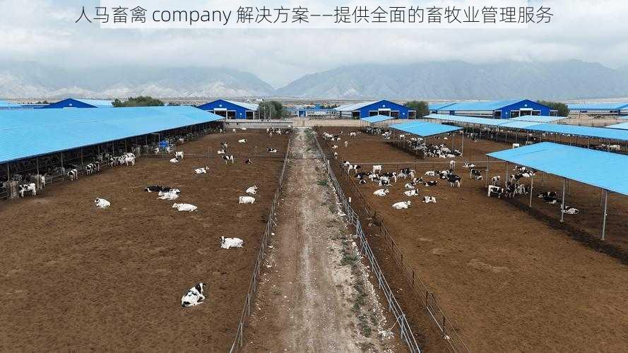 人马畜禽 company 解决方案——提供全面的畜牧业管理服务