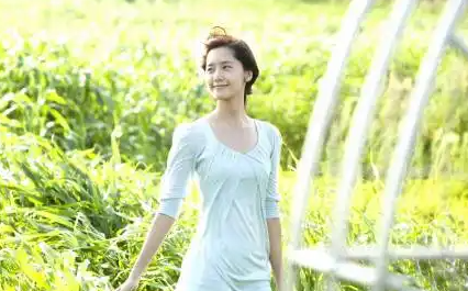 ##丝瓜草莓秋葵污WWW旧版安卓的多样化应用与探讨