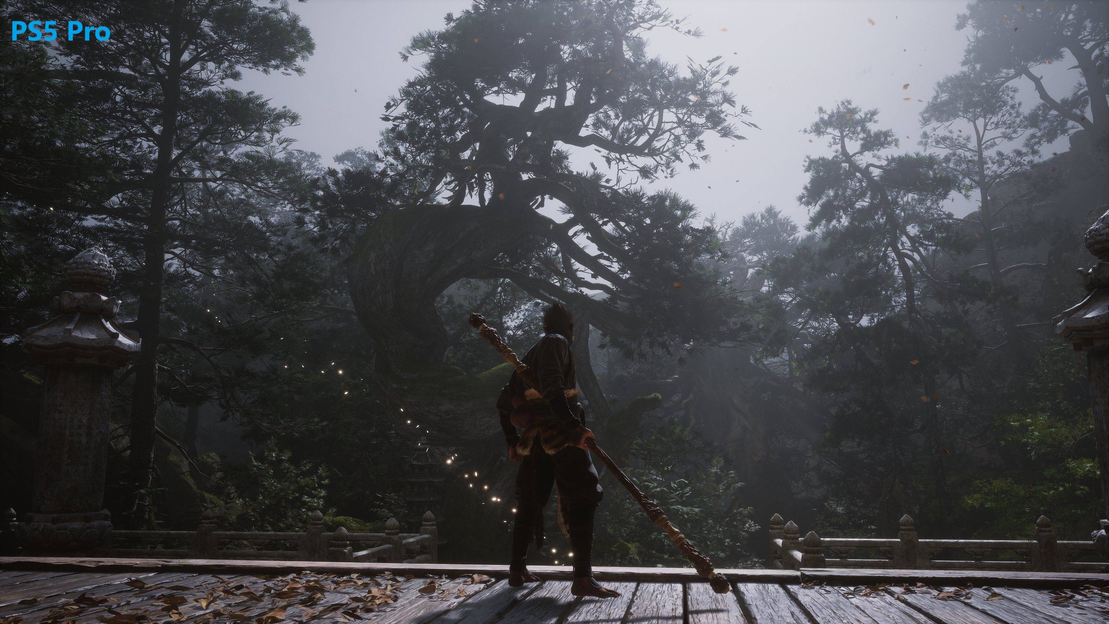 《黑神话：悟空》PC与PS5Pro画面对比相差甚微6