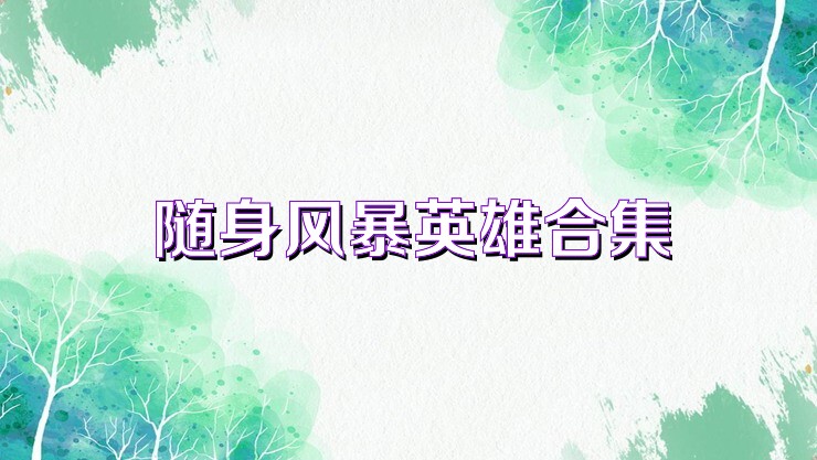 随身风暴英雄合集