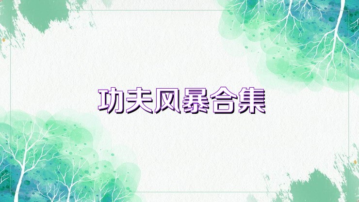 功夫风暴合集