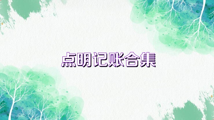 点明记账合集