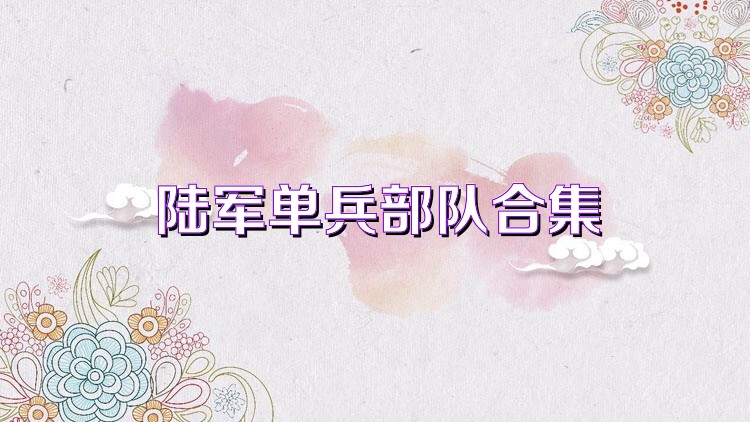 陆军单兵部队合集