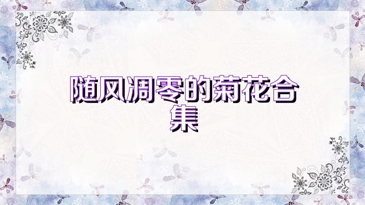 随风凋零的菊花合集