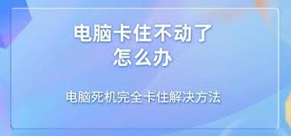 提升效率：解决电脑卡死与死机的正确处理技巧
