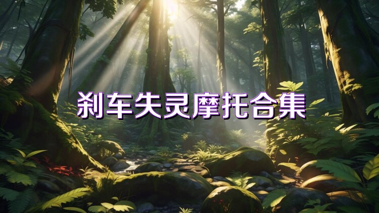 刹车失灵摩托合集