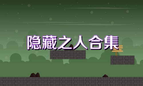 隐藏之人合集