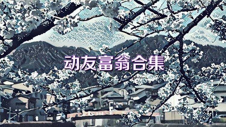 动友富翁合集