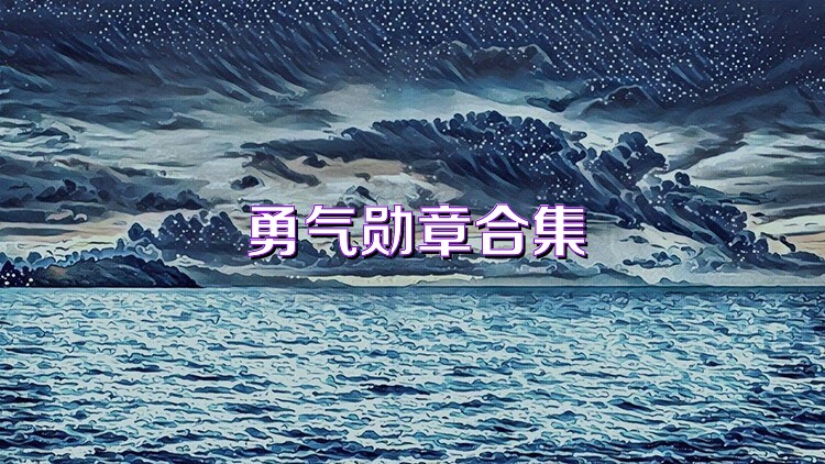 勇气勋章合集