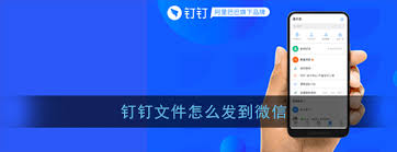 钉钉文档转发至微信教程：快速分享钉钉文件到微信方法