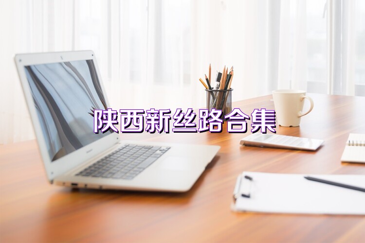 陕西新丝路合集
