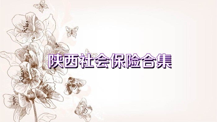 陕西社会保险合集