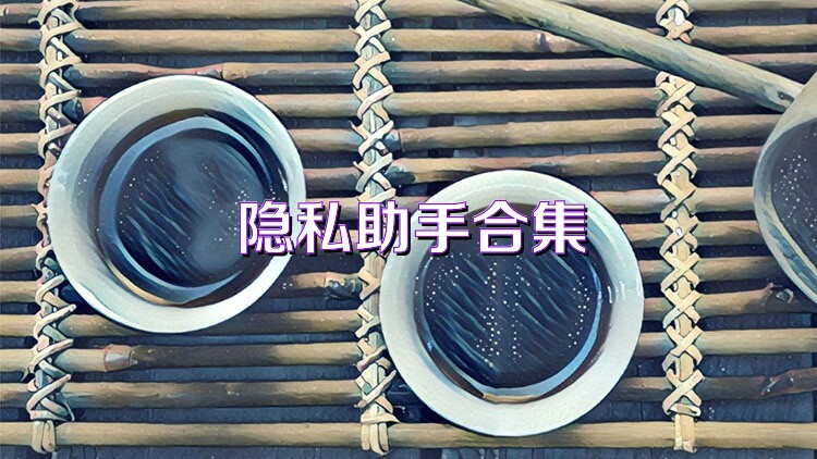 隐私助手合集