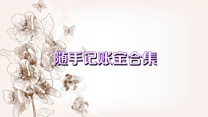 随手记账宝合集