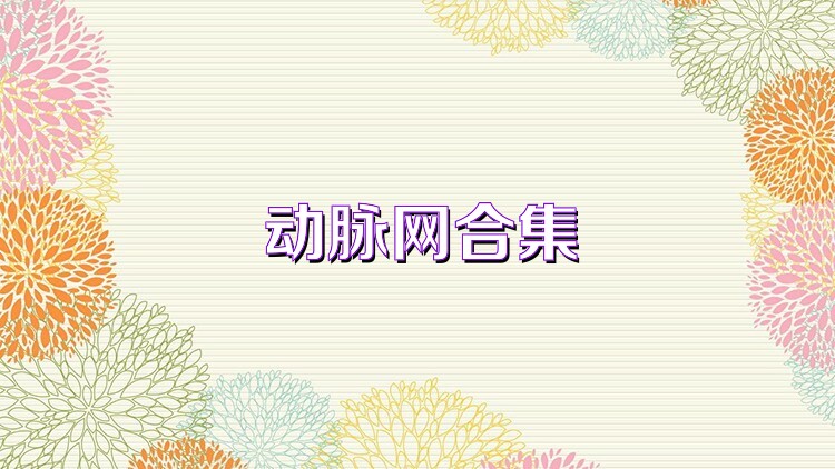 动脉网合集