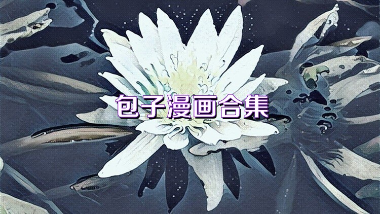 包子漫画合集
