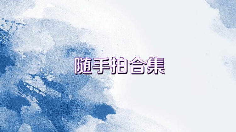 随手拍合集