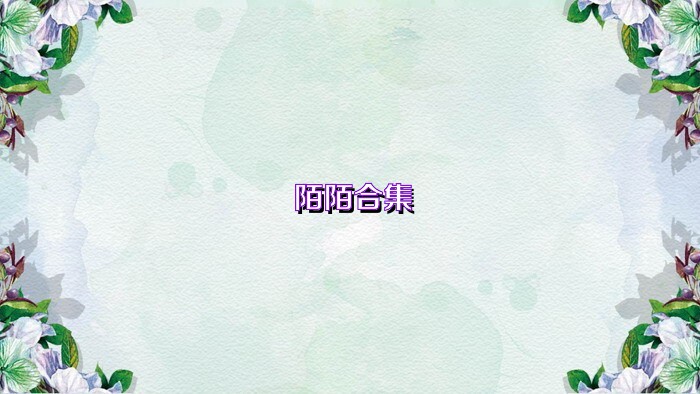 陌陌合集