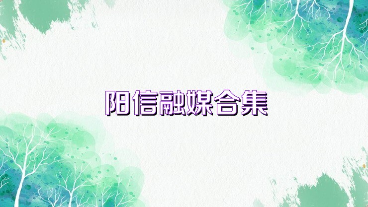 阳信融媒合集
