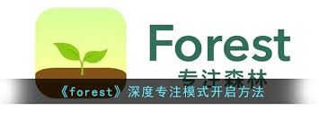 如何在Forest中开启深度专注模式提升工作效率