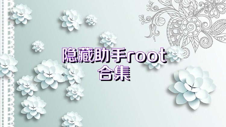 隐藏助手root合集