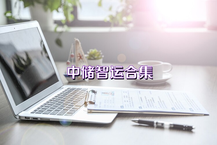 中储智运合集