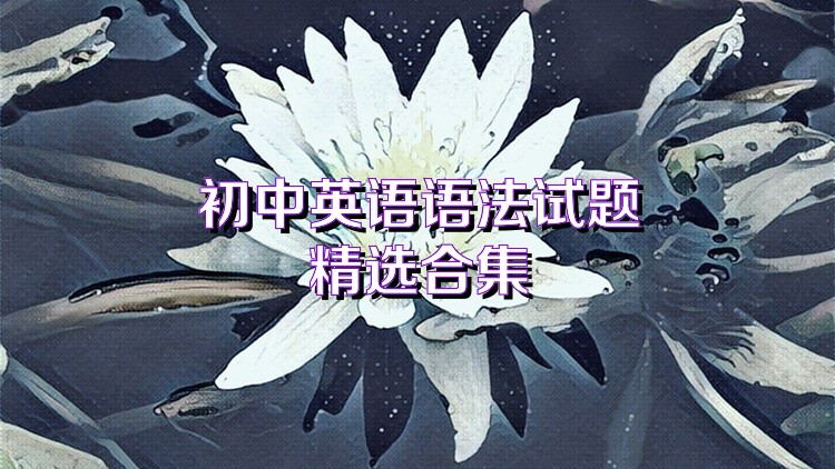 初中英语语法试题精选合集