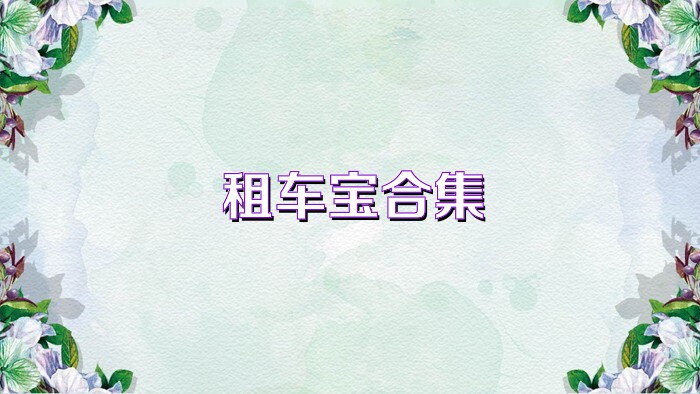 租车宝合集