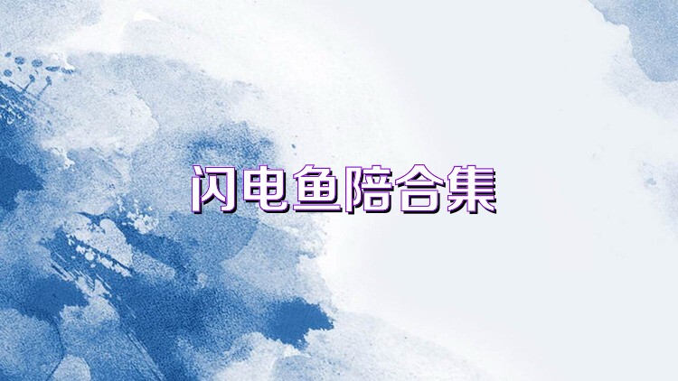 闪电鱼陪合集