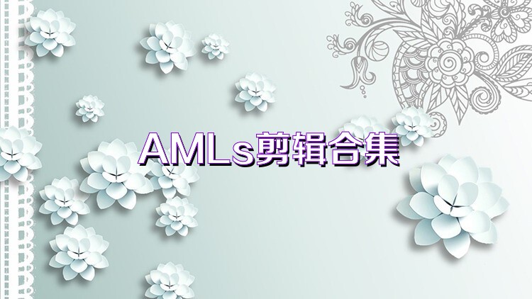 AMLs剪辑合集