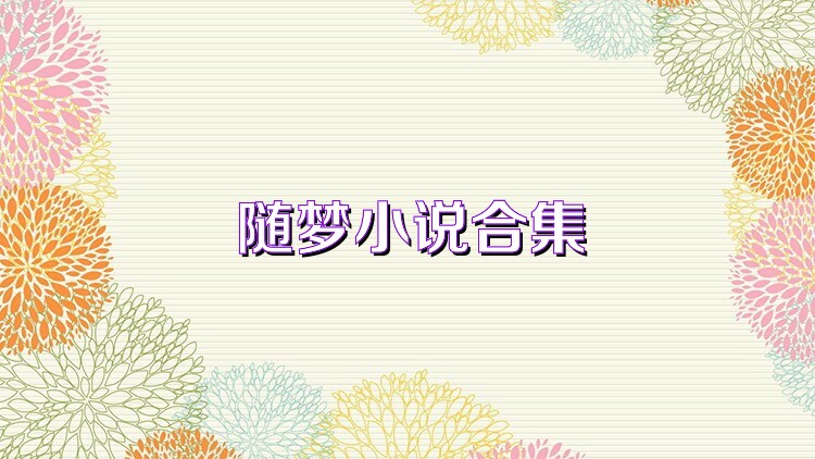 随梦小说合集
