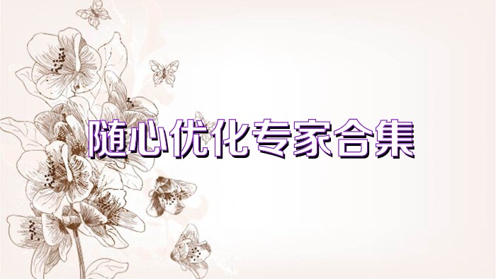 随心优化专家合集