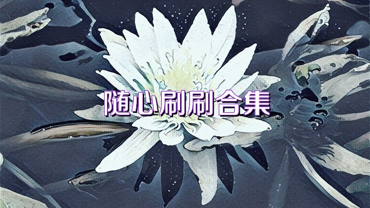 随心刷刷合集
