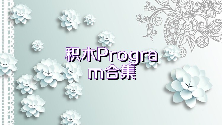 积木Program合集