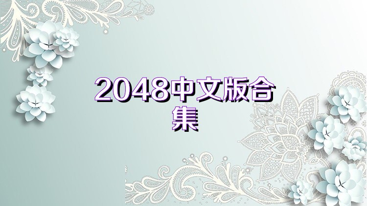 2048中文版合集