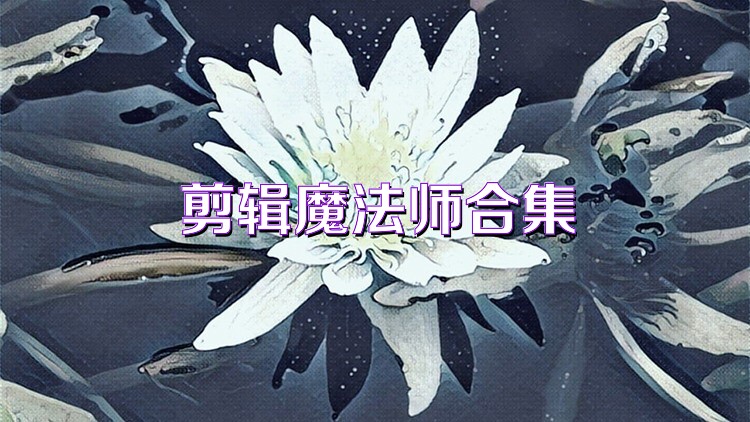 剪辑魔法师合集