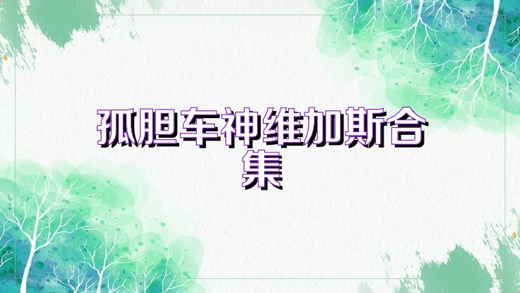 孤胆车神维加斯合集