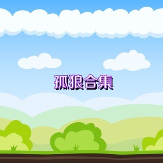 孤狼合集