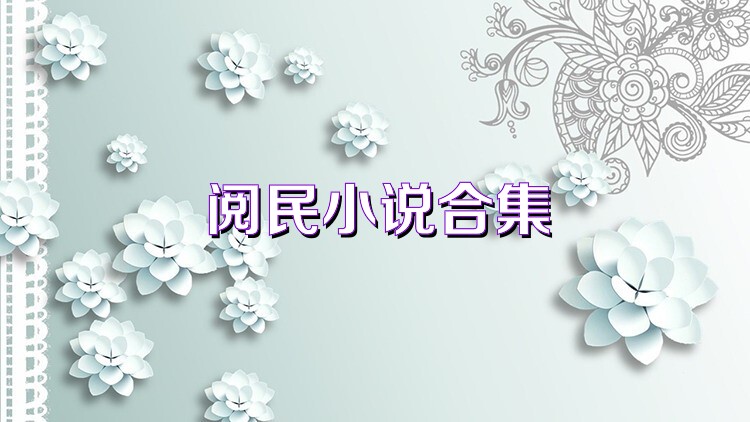 阅民小说合集