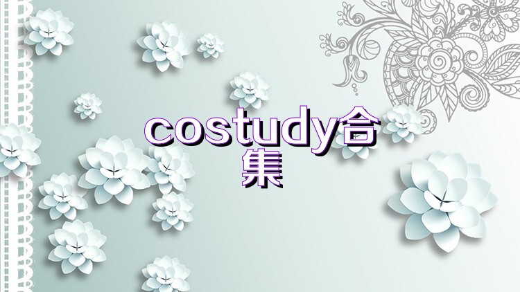costudy合集