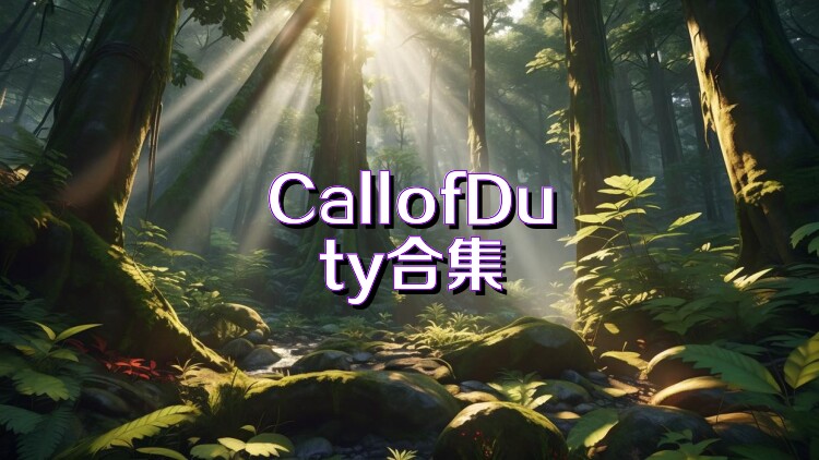 CallofDuty合集