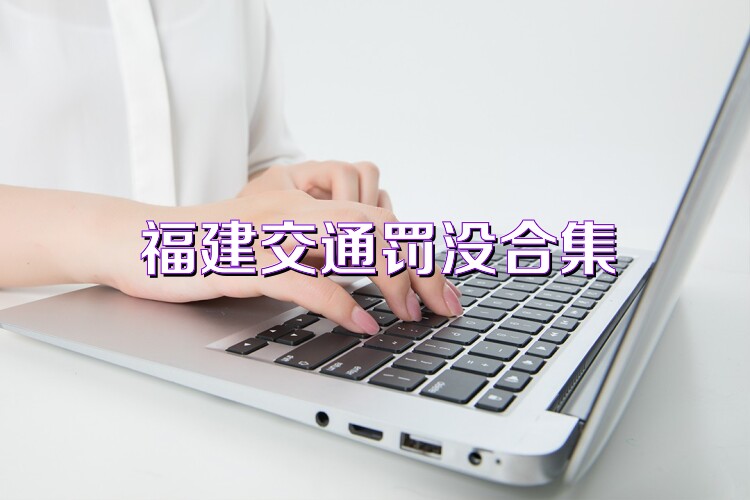福建交通罚没合集