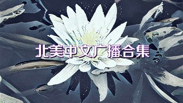 北美中文广播合集